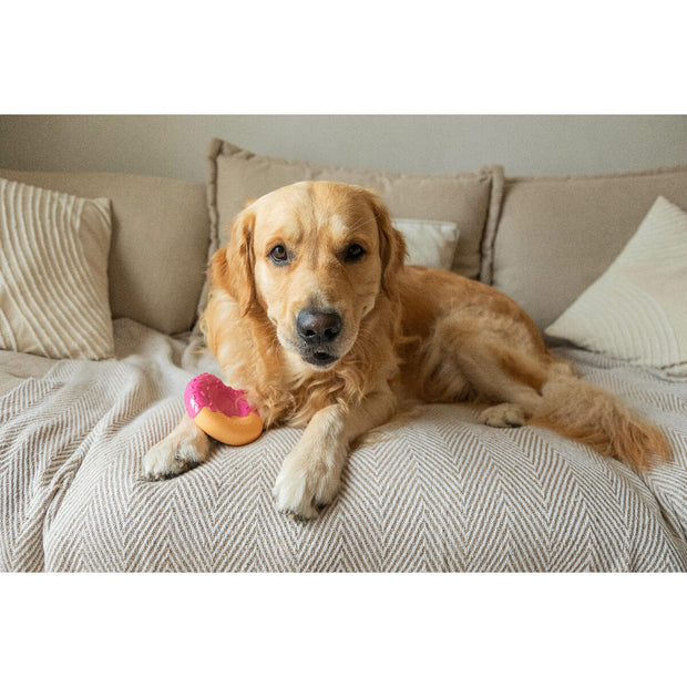 V4H77584461C6C6424A7517D14244D60D85R7427444P4