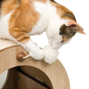 V2H0823641FE84150D39F0F1C818C58B577R7469580P5