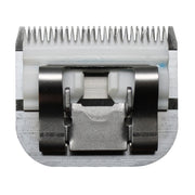 V3H06B97E581E51EF9FD9D4B58C7A265A01R5554766P4