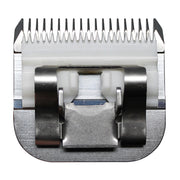 V3H985E39FD4A925E3F70EFCE20C04FC399R5554761P4