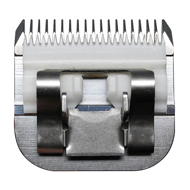 V3H985E39FD4A925E3F70EFCE20C04FC399R5554761P4