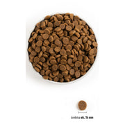 V4HC6699A24A5CB53893942E9292D7A5DADR5147853P3