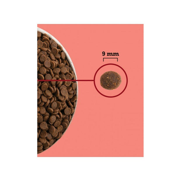 V3H78B6495DB43CB68477B9615F72A93BD0R5851843P2