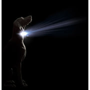 V3HFECEE5D2413F40A4A6092793FB891121R5554887P2