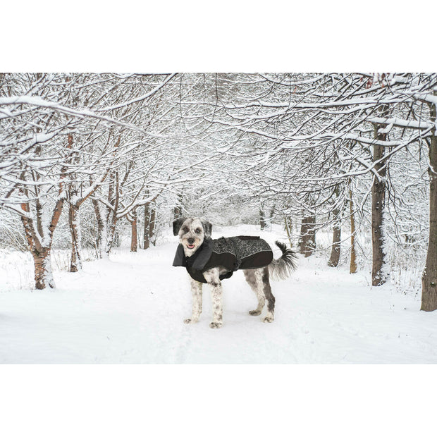 V4H40237E40E0D964D8FC77958D58B7F1CFR5332415P8