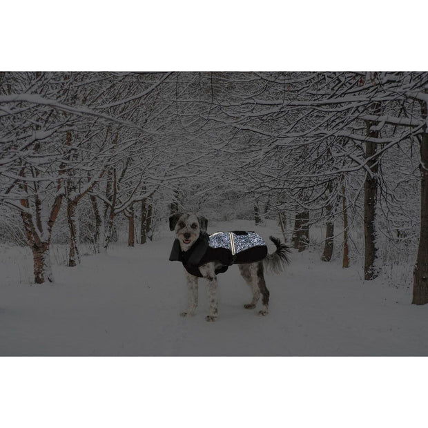 V4H466D8822CFE36BDA144DFD52B82CFE15R5332474P2