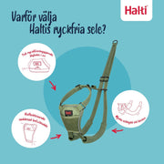 V2H1E8E45B21868969F975098FAB036828AR7523804P3