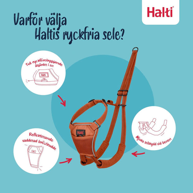 V2HB1D9C33C8710468E79CE9CF1F225E000R7523523P3