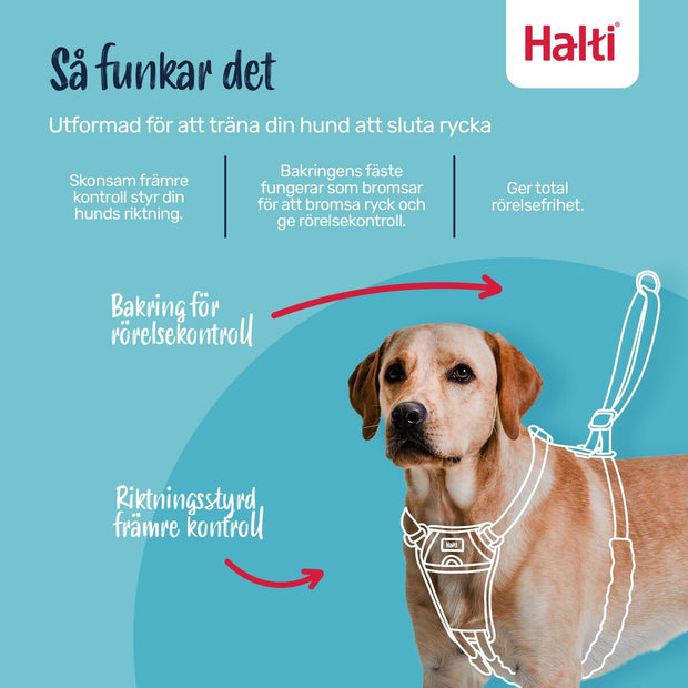 V2HC3E19DF9C93F638C71C741F6B5F74629R7523720P8