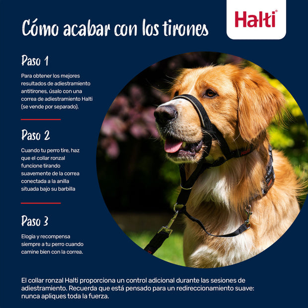 V2H5CDC4EAC6FBB742561D955AD57781043R7523933P3