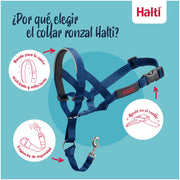 V3H31EDC7DAF79F637C07DF445B9ACB60B3R7523939P7