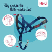 V2H78F650AED6260487E343199F9C0DF94FR7523930P9