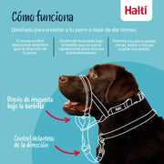 V2H9C0912AFF9C68C5BC60F990D316CC1D2R7523852P4