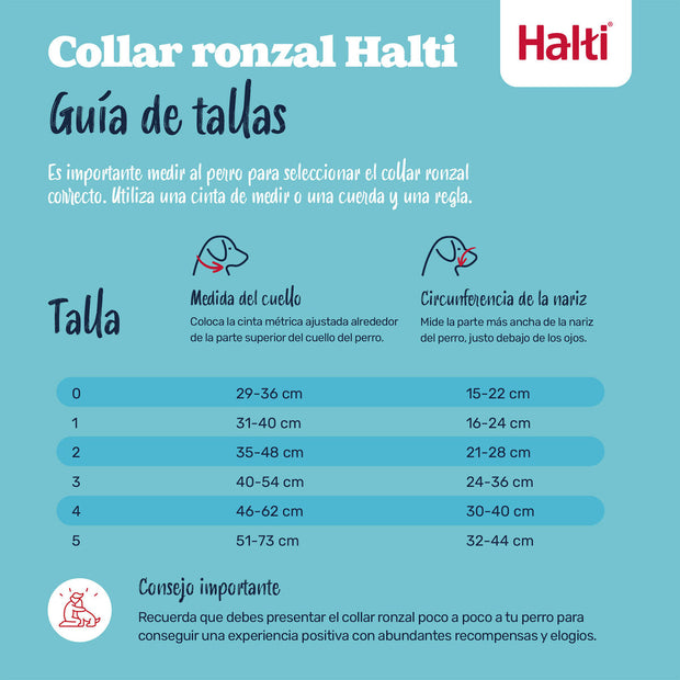 V3H13262A03DD2345B403320AB4934B59E6R7523573P7