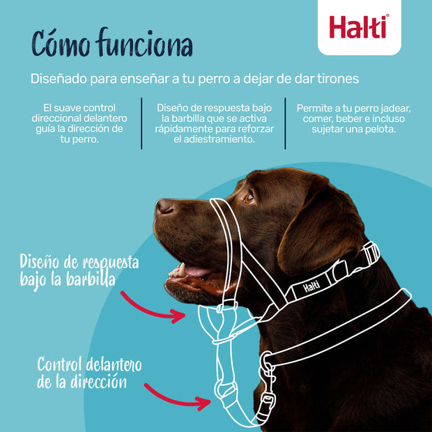 V3H870AC9D1E9D5AA3944835B2BC3F4D98FR7523575P9