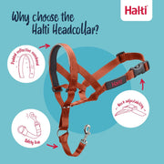 V2HDEDCED0607696096A7418758F262EB60R7523863P3