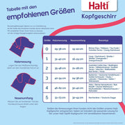 V2HBE1949A9FCA171BA3BA6992B3D1AE177R7523546P3