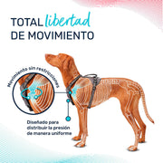 V4H4817D2398583D21B735E7F64785C0D7DR5328482P6