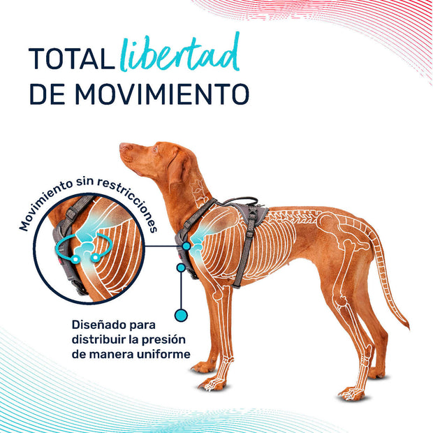 V4H4817D2398583D21B735E7F64785C0D7DR5328482P6