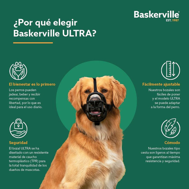 V4HD009D1EF9233DBE4FE1E1EC7A5AFFD29R5327555P7