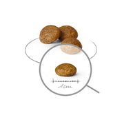 V4HB8A12ECD5E7ED783A69632E64D3DF63AR5624427P3