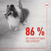 V4H59186CD82F3221A2A499456E2E496A0FR6646637P8