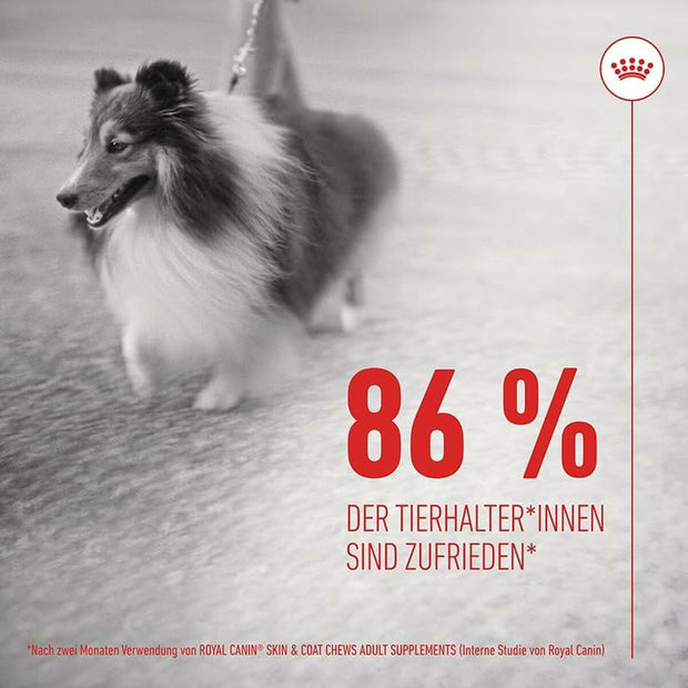 V4H59186CD82F3221A2A499456E2E496A0FR6646637P8