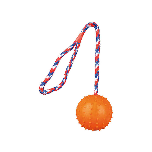 V8H8F638893C51BE24A3B0777EECEA98ED0R7442936P3