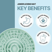 V3H1DC4C716888907323D1179139CD9BCEER5540376P4