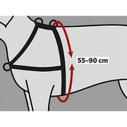 V6H809A46D470985D80A300594FC6EEC9A5R7441882P2