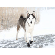 V3HA095589771909CE87CA612543B1123ACR7439897P3