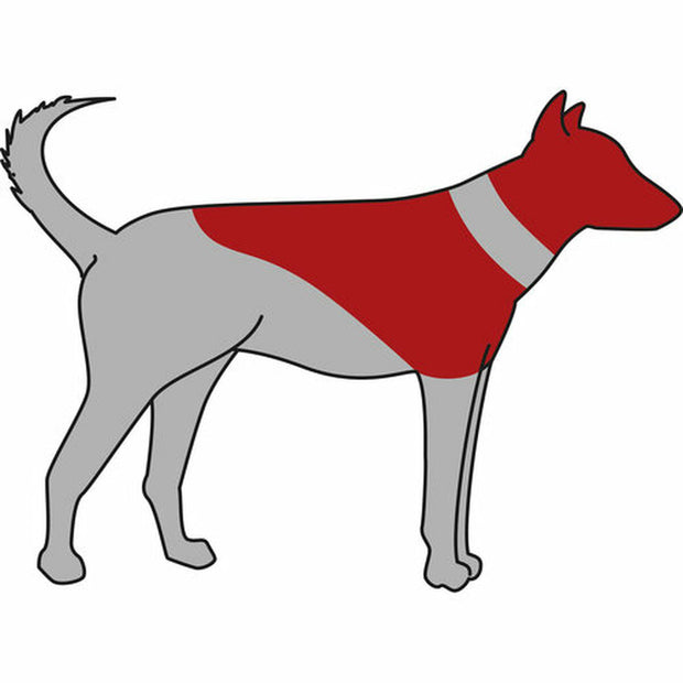 V5H85CE39E6A60143853EA7B47B2337C6EFR7440261P3