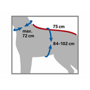 V4HB44CA669CA8C398EAD5AAA5E41071781R7452152P8