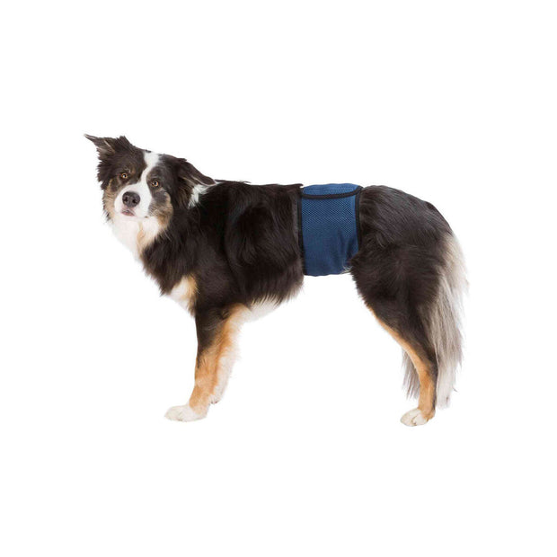 V5H98234137A69E1FD12657056C8FEC0CEBR7444027P1