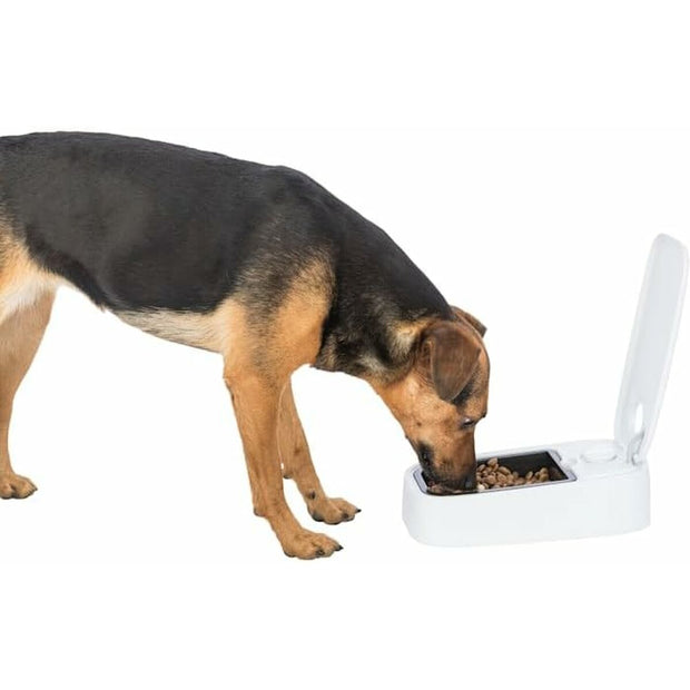 V3HE4AB3F0CF32094EDE9036F805F651020R7461871P9