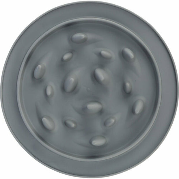 V7H10B2929875E0036F2E574D826E1394FDR7445737P6