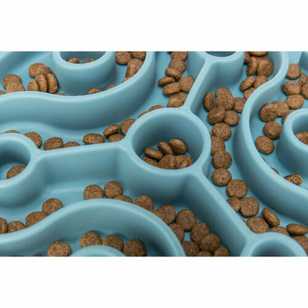 V4H48C361D53B7F7F5C251BE95822CBBC13R7455468P4