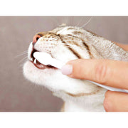 V4HBE484B6E8AA39332E4E3BCEFD784070CR7444250P8