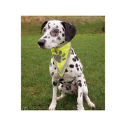 V4H94373F8041F15D9E067DB1074B2DBFB2R7439627P3