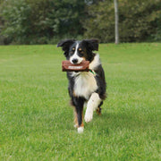 V6H1E9DABF7CF7218BCA076D7E04B01BBA8R7441141P4