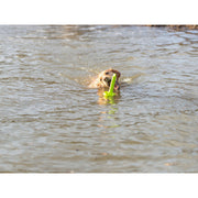 V6HD461802D8E9D4B9F6737655109C2538FR7443182P5