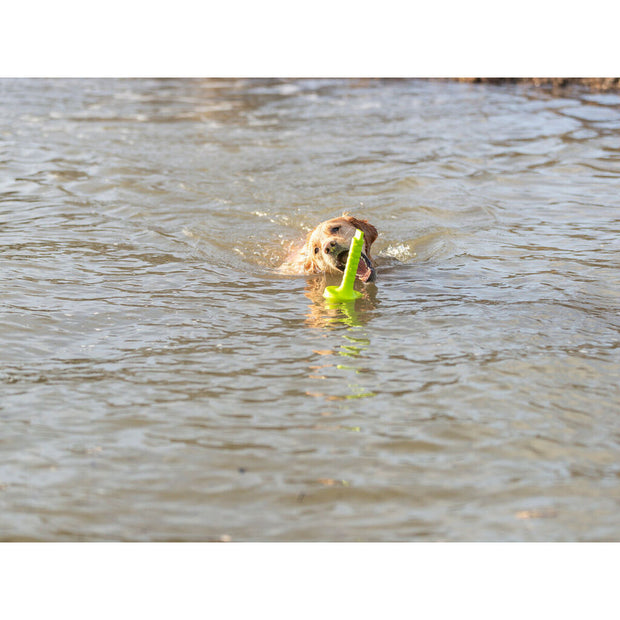 V6HD461802D8E9D4B9F6737655109C2538FR7443182P5