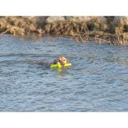 V6HFC1D36019B68C68AA5E751CD12E559D6R7443188P9