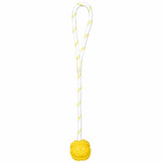 V6H291B6F1221B1531E281B53E7F4E72FDFR7442965P2