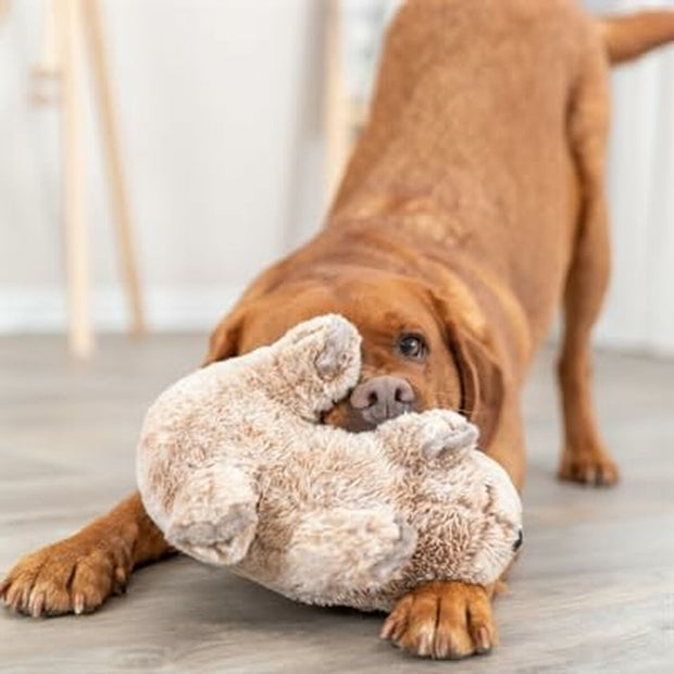 V6H14BA42EA9283B57F2A4833B69632EC1DR5432027P3