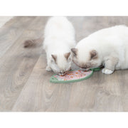 V5HDB82523E6AE4B72DBDDA15BFBC209098R7455926P5