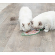 V5HA4FD73FD536DEC6015A7CDA135FA2A2BR7455928P6