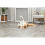 V5HDB2E589D70DC8061B439DD6373C95934R7459568P6