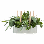 V6H16B87F7F7D400BF4AFCCC7692CAFAF1BR7455541P6