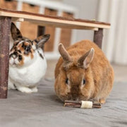 V5HC5063DB3A7E0F5BD938DB77AF22CCB0CR5448869P2